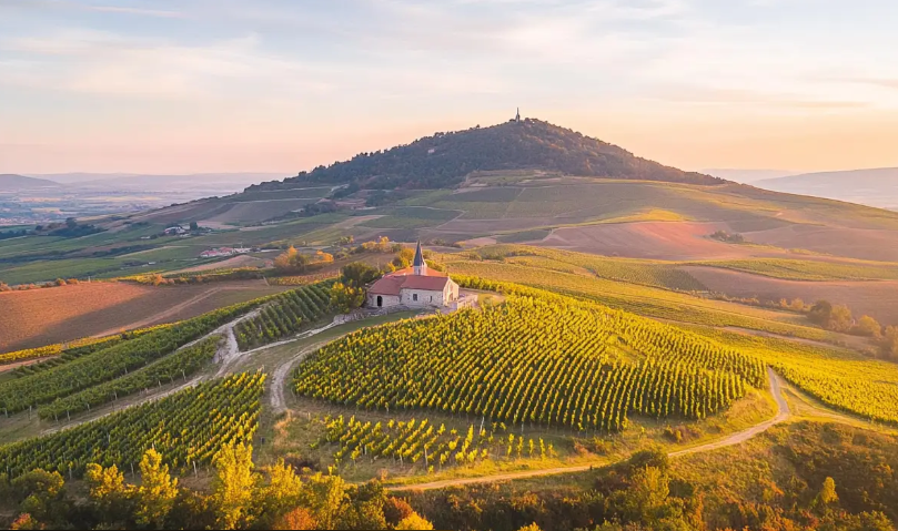 Wide landscape shot at sunset of rolling green hills.